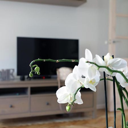Apartament Turkus Щецин Экстерьер фото
